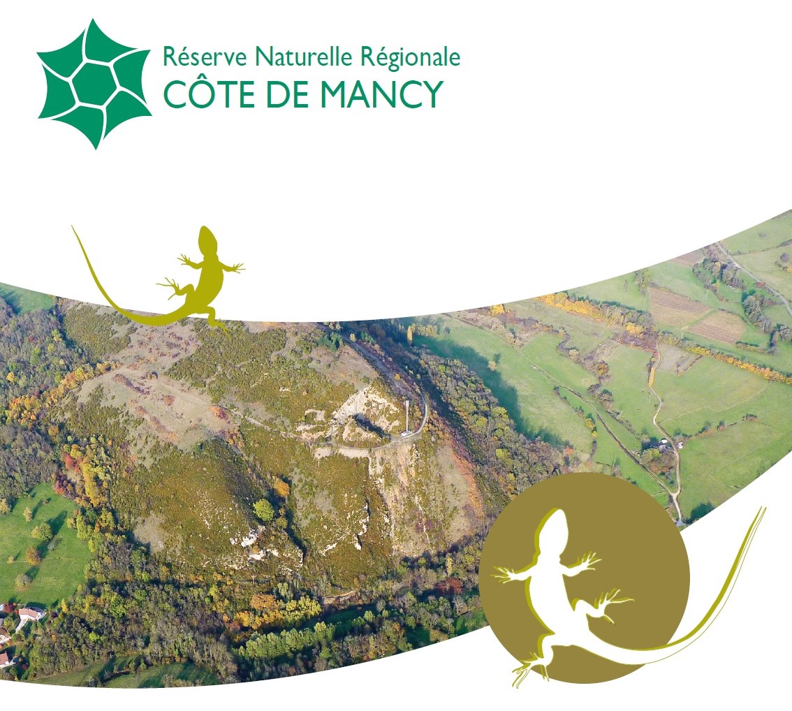 En savoir plus sur la Réserve Naturelle Régionale de la Côte de Mancy !